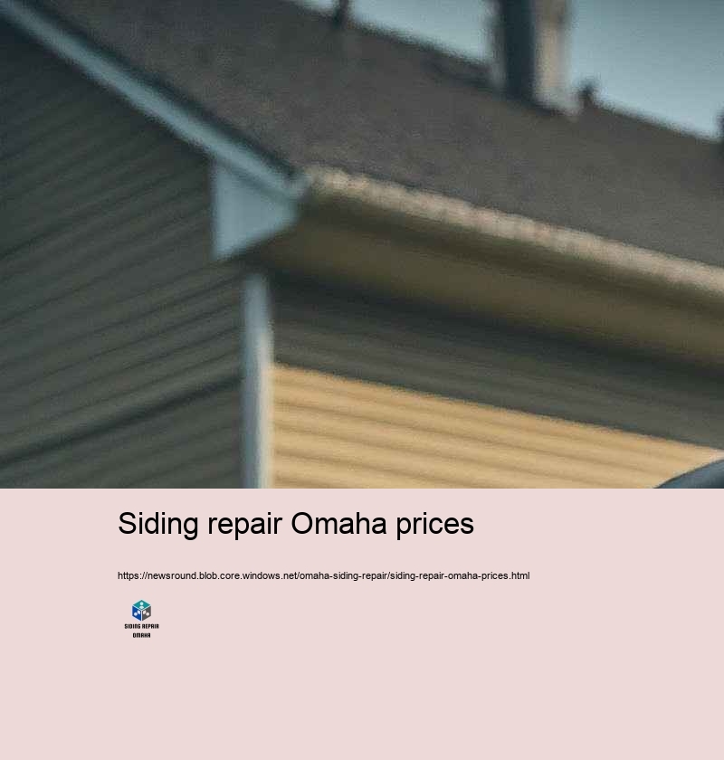 Budget plan Friendly and Reliable Siding Repair in Omaha