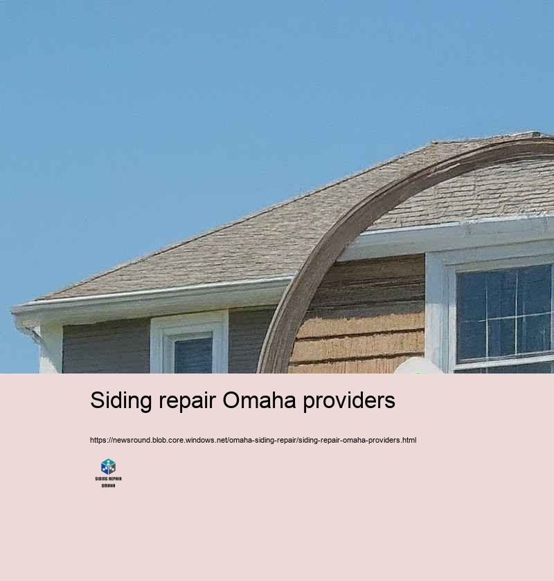 Why Select Our House House siding Repair Experts in Omaha?