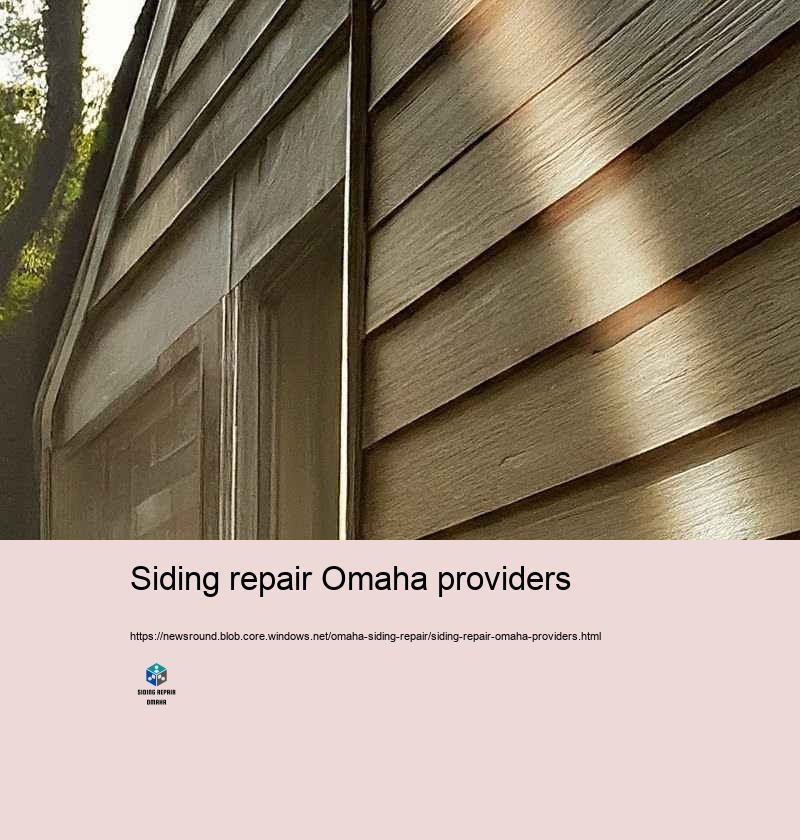 Budget plan Friendly and Relied on Siding Repair in Omaha