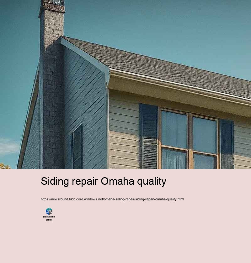 Budget-friendly and Dependable Siding Repair in Omaha