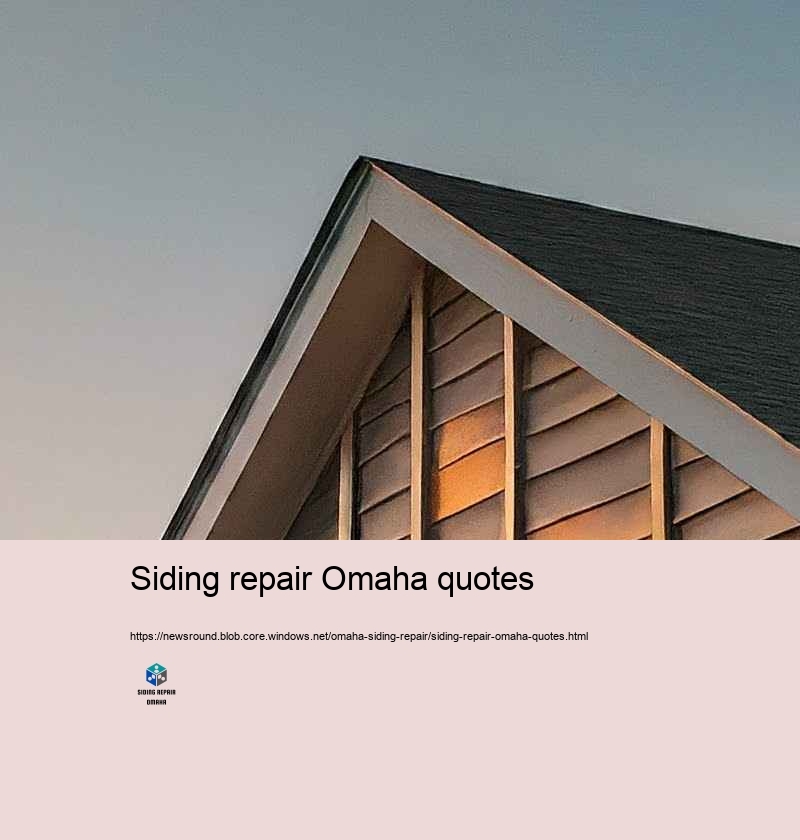 Enhance Your Home’Suppress Attraction with Professional Siding Repair in Omaha