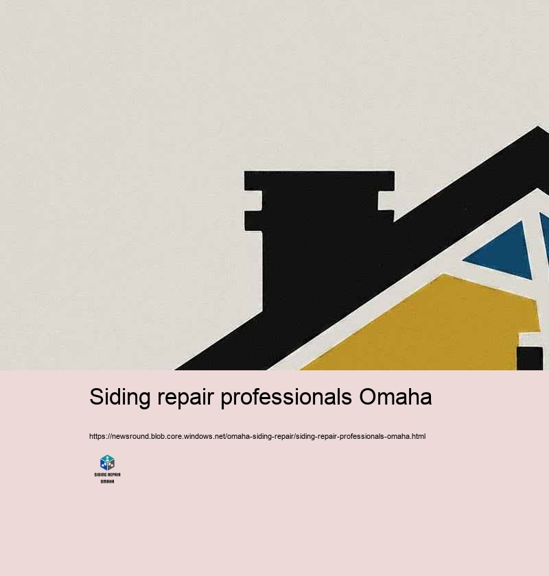 Why Select Our House Siding Repair Experts in Omaha?