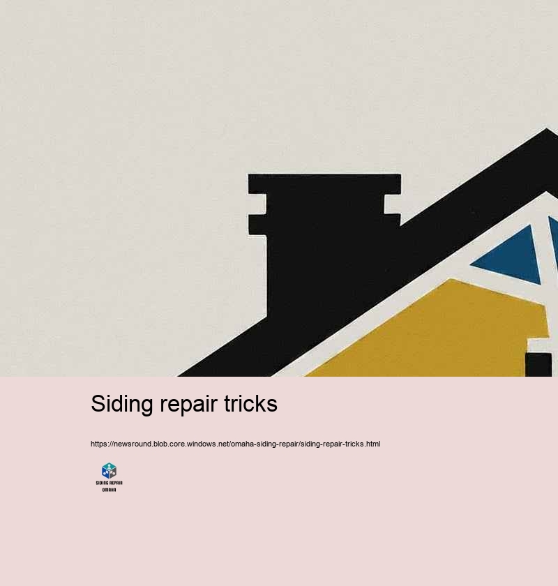 Why Select Our Siding Repair Specialists in Omaha?