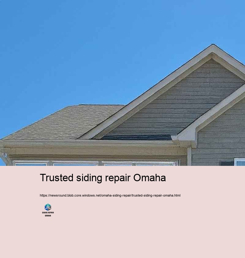 Client Testimonies: Siding Repair Success Stories in Omaha