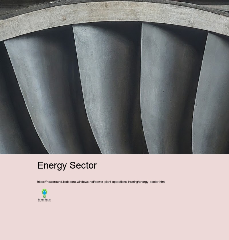 Preparation for the Future: Renewable energy Combination in Nuclear reactor Educating