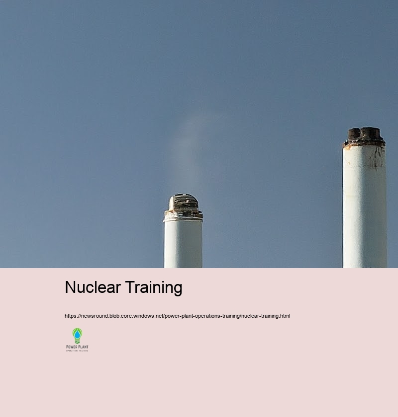 Advanced Technologies in Nuclear Power Plant Therapies: A Training Perspective