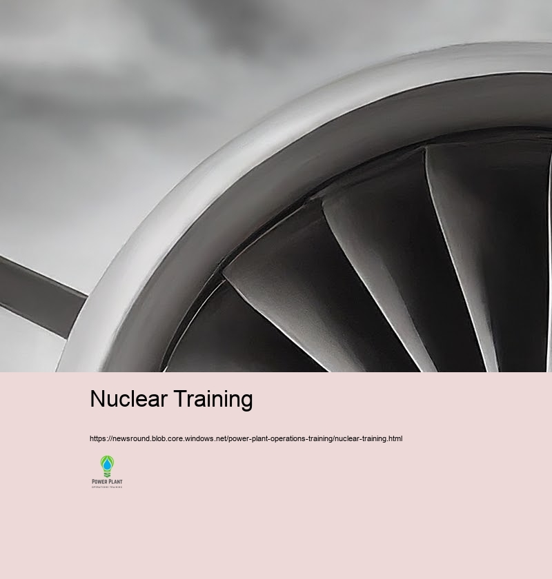 Maximizing Effectiveness: Secret Approaches in Nuclear Reactor Procedures Training