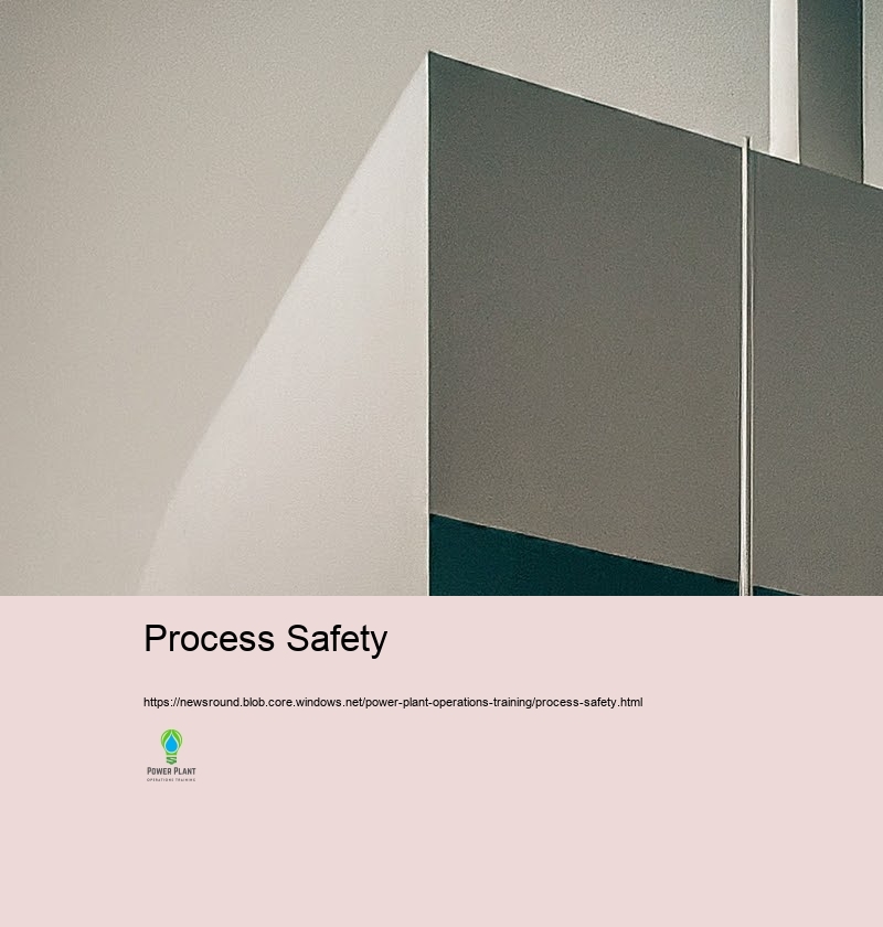 Safety and security First: Perfect Practices in Nuclear power plant Workflow Training