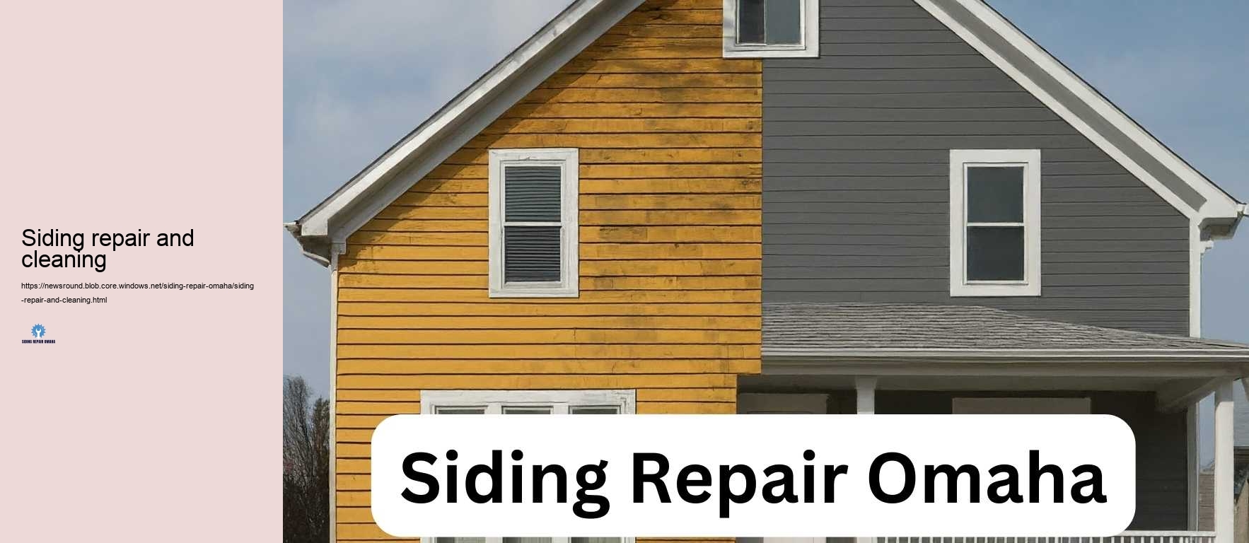 Siding repair and cleaning